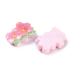 Непрозрачная смола декодирует кабошоны&nbsp;LS-CRES-O002-03D