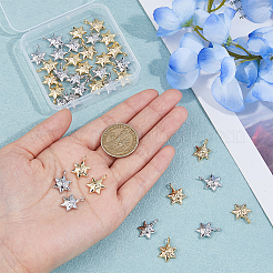 Подвески из сплава 40шт 2 цветов&nbsp;FIND-DC0005-50