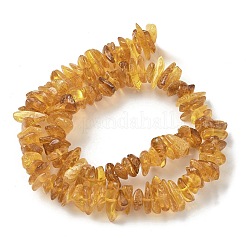 Янтарные шарики нити&nbsp;G-L095-D01-06