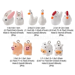 10шт 5 стиля непрозрачные подвески из смолы&nbsp;RESI-YW0001-43