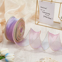 1 пакетик ленты из органзы градиентного цвета&nbsp;OHAR-CY0001-01C