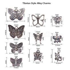 Тибетский стиль полые литые подвески&nbsp;TIBE-CJ0001-09