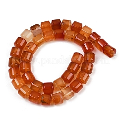 Натуральный красный агат бисер нитей&nbsp;G-G275-D06-10x10mm