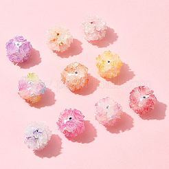 10шт 10 цвета бусины из смолы&nbsp;RESI-FS0002-24B