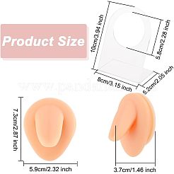 Мягкий силиконовый язычок гибкая модель дисплея части тела с акриловыми подставками&nbsp;ODIS-WH0002-23