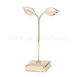 Дисплеев железа серьги&nbsp;EDIS-L006-02G