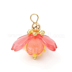 Прозрачные акриловые подвески&nbsp;PALLOY-MZ00738