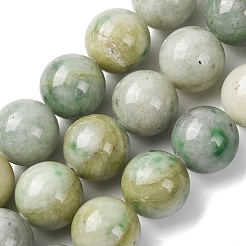 Природные китайский нефрит бисер пряди&nbsp;G-A310-A02-16mm