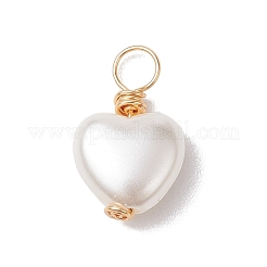 Акриловые кулон&nbsp;PALLOY-JF02731-01