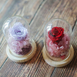 Купол из круглого стекла&nbsp;DIY-DR0001-52