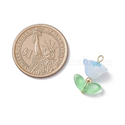 5шт подвески ручной работы лэмпворк&nbsp;PALLOY-TA00310