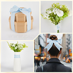 Полиэстеровая лента для украшения шитья&nbsp;OCOR-WH20007-24E