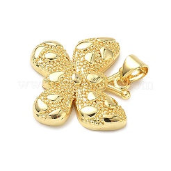 Латунные подвески&nbsp;KK-I379-14G-01