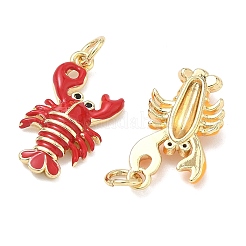 Латунь эмаль подвески&nbsp;KK-K417-02G