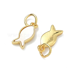 Натуральные белые моллюски-талисманы&nbsp;KK-F926-04B