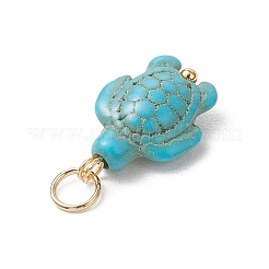 6шт 2 цвета окрашенные подвески из синтетической бирюзы&nbsp;PALLOY-JF05173-01