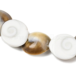 Натуральные бусины из ракушек «глаз Шивы»&nbsp;SHEL-G021-01A