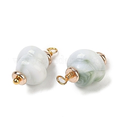 Непрозрачные акриловые подвески&nbsp;KK-K296-01G-01