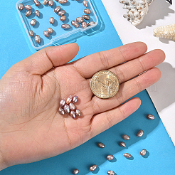 1 нить бусин из натурального культивированного пресноводного жемчуга&nbsp;PEAR-SC0001-44