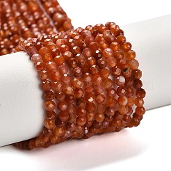 Натуральные южные красные агатовые бусины&nbsp;G-Z074-A02-01B