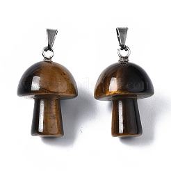 Природных тигровый глаз подвески&nbsp;X-G-N0325-10A