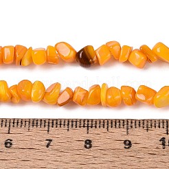 Нити бусин из натуральных пресноводных ракушек&nbsp;SHEL-N037-04G