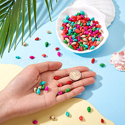 300 шт. 6-цветные бусины из натуральных спиральных ракушек&nbsp;BSHE-TA0001-14