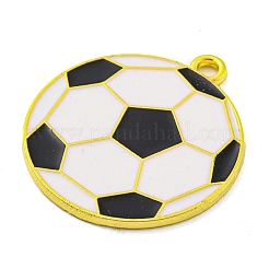 Подвески из эмали и сплава&nbsp;FIND-Z044-02A