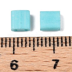 2-луночное стекло для выпечки&nbsp;SEED-S023-17C-05