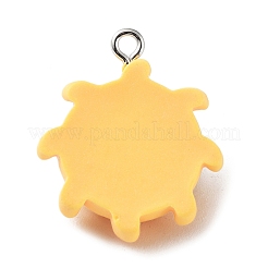 Подвески из непрозрачной смолы&nbsp;RESI-P033-B03