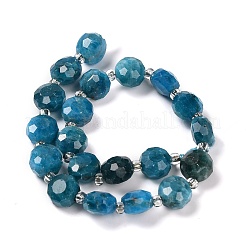 Природного апатита нитей бисера G-B153-B05