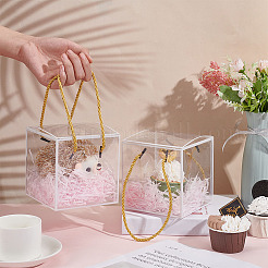 Прозрачная подарочная коробка из пластика для животных&nbsp;OBOX-WH0016-05A