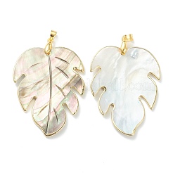 Оболочки губ натуральный черный подвески&nbsp;SSHEL-L019-16G