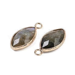 Ограненные подвески из натурального лабрадорита&nbsp;G-G193-01G-10