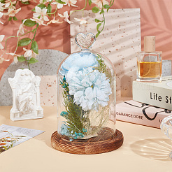 Стеклянные крышки-куполы в форме сердца&nbsp;AJEW-WH0696-225B-02