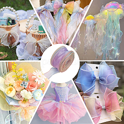 1 пакетик ленты из органзы градиентного цвета&nbsp;OHAR-CY0001-01C