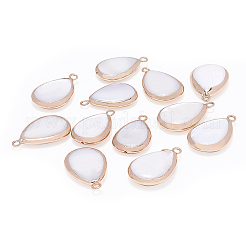 Природные подвески оболочки пресноводных&nbsp;SHEL-BC0001-001