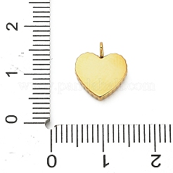 Подвески из эмалированной нержавеющей стали 304&nbsp;LS-STAS-F331-01A-G