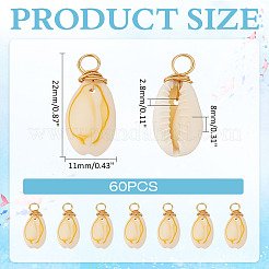 60 шт. подвески из натуральной окрашенной ракушки каури&nbsp;FIND-ME0001-76