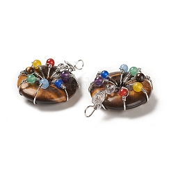 Природных тигровый глаз подвески&nbsp;G-A031-01P-06