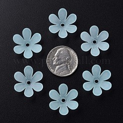 Прозрачные акриловые бусины&nbsp;X1-MACR-S373-107-D04