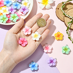 28 шт. 7 цвета непрозрачные подвески из смолы&nbsp;FIND-SC0019-46