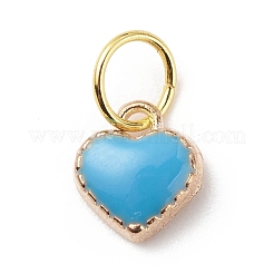 Сплав эмали подвески&nbsp;PALLOY-JF01770