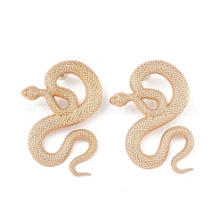 Серьги сплава&nbsp;LS-EJEW-R021-03KCG-01