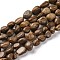Natural Picture Jasper Beads Strands, Nuggets, Tumbled Stone, 7~12x6~8x5~7mm, Hole: 1mm, about 43~44pcs/strand, 15.47~15.63''(39.3~39.7cm)