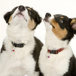 10 шт. брелок из натурального малайзийского нефрита и сплава&nbsp;KEYC-DR00008