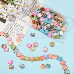 4 нить бусин из натуральных пресноводных ракушек&nbsp;SHEL-SC0001-81