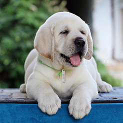 40 шт. подвески из нержавеющей стали 201&nbsp;STAS-DC0016-30A