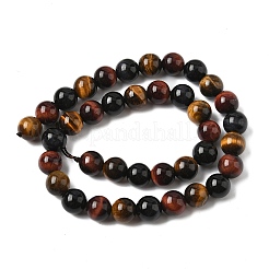 Природных тигровый глаз бисер нитей&nbsp;G-F173-14-10mm