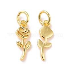 Латунь подвески&nbsp;KK-G418-18G